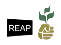 reap